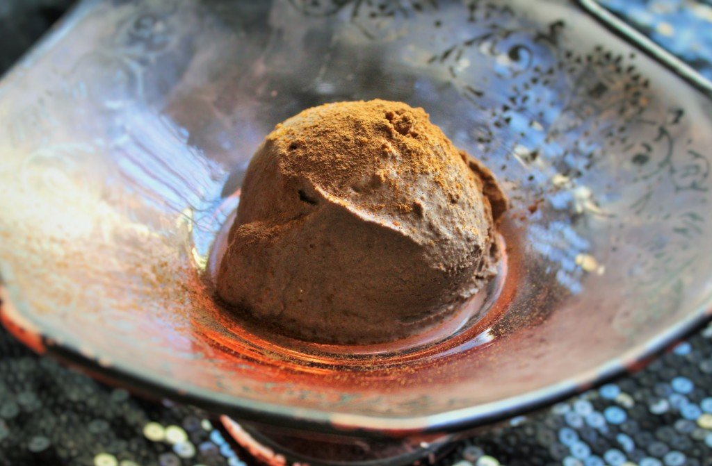 carob chcolate cocoa ice cream substitute dairy free coconut milk AIP autoimmune protocol paleo frozen cold dessert fast