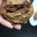 paleo cassava chocolate chip cookies nut coconut free