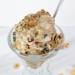 elvis butter jelly crunch nice cream
