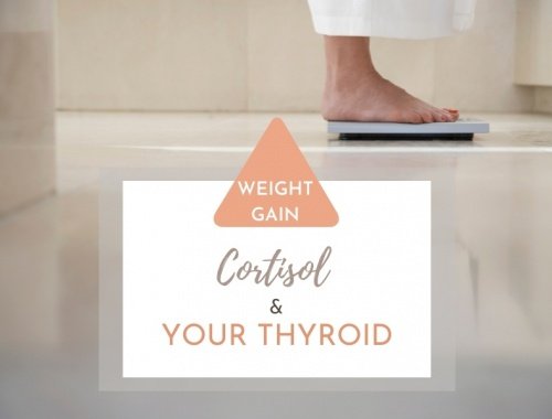 weight gain cortisol and your thyroid
