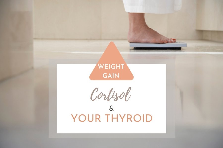 weight gain cortisol and your thyroid