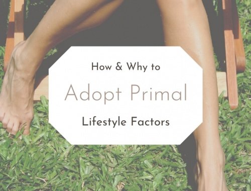 how and why to adopt primal lifestyle factors