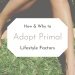 how and why to adopt primal lifestyle factors