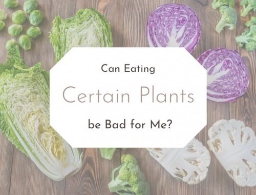 can eating certain plants be bad for me