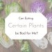 can eating certain plants be bad for me