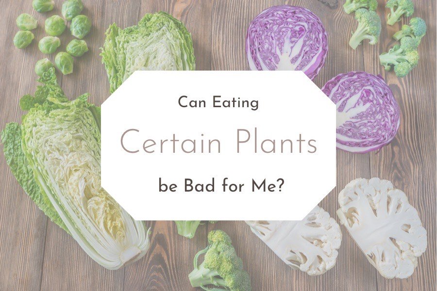 can eating certain plants be bad for me