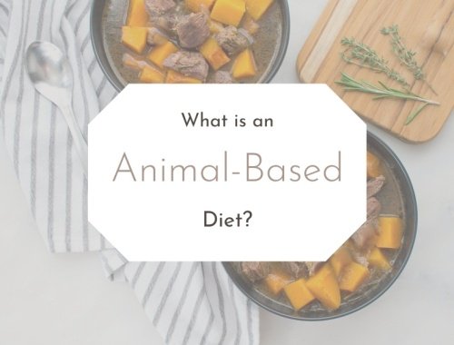 animal based diet