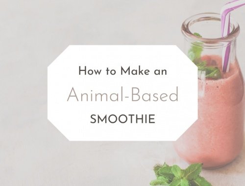 how to make an animal-based smoothie
