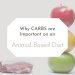 why carbs are important on an animal-based diet