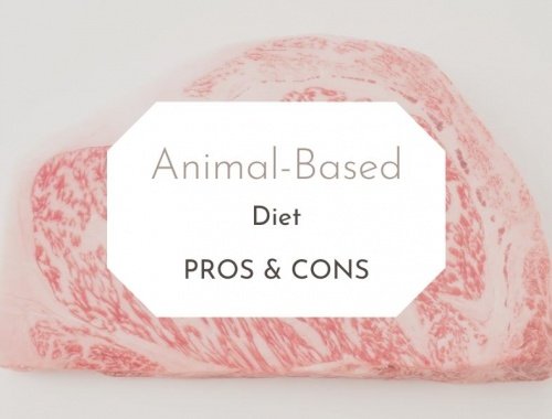 animal based diet pros and cons