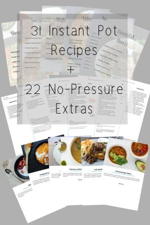 31 Instant Pot Recipes+20 No-Pressure Extras(1)